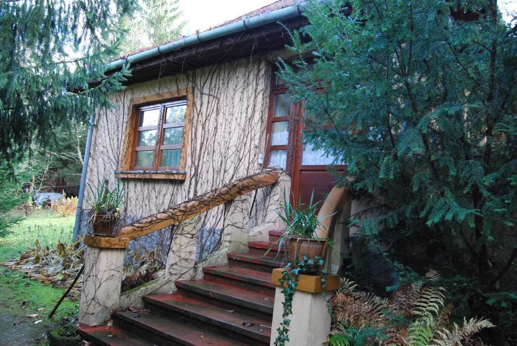 ולם Boroka Apartmanhazak - Oereghaz חדר תמונה